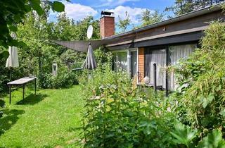 Haus kaufen in 31547 Rehburg-Loccum, Ein Ort für Freigeister - Naturidyll mit Wintergarten, Kamin und 1409 Quadratmeter Grundstück