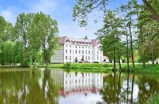 Haus kaufen in 19217 Wedendorf, Herrschaftliches, historisches Schloss-Anwesen in ländlich-idyllischer Lage von Mecklenburg!