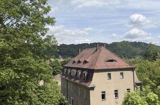 Haus mieten in Rietzschgrund, 01814 Bad Schandau, Großzügiges Haus mit 12 Zimmern in Bad Schandau