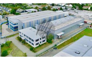 Gewerbeimmobilie kaufen in 68519 Viernheim, IM ALLEINAUFTRAG ✓ KAPITALANLAGE ✓ Gewerbeobjekt mit Lager (1.600 m²) & Büro (1.300 m²)
