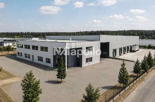 Büro zu mieten in 64546 Mörfelden-Walldorf, Halle mit Büroflächen | ca. 6.000 m² Gesamtfläche | teilbar | 4 Rampen + 3 ebenerdig