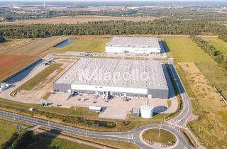 Gewerbeimmobilie mieten in 63505 Langenselbold, ca. 6.000 m² Gesamtfläche | hochwertige Logistikhalle | Rampen- und ebenerdige Tore