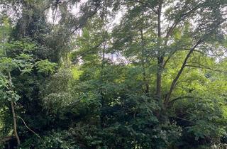 Grundstück zu kaufen in Am Stadtberg, 07616 Bürgel, Naturnahes Garten- / Freizeitgrundstück am Hang mit Wasseranschluss und Talblick