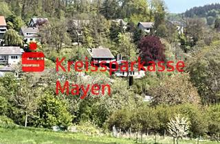 Grundstück zu kaufen in 56746 Kempenich, Nürburgring Nähe. Perfekte Basis für Ihr Projekt. 6.000m² Areal.