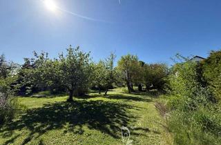 Grundstück zu kaufen in 97204 Höchberg, Sonniges Baugrundstück für Einfamilien-, oder Doppelhaus in einer der schönsten Lagen von Höchberg