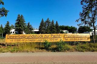 Gewerbeimmobilie mieten in Am Buchhorst 35A, 14478 Industriegelände, Vielseitig nutzbares Gewerbegrundstück in Potsdam Süd – ca. 2.500 m² zur Pacht oder Erbbaupacht