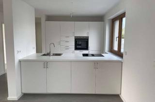 Wohnung mieten in Blumenstraße 21, 74613 Öhringen, Hochwertige EG Wohnung mit Terrasse und eigenem Garten in Öhringen