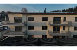 Wohnung mieten in 89597 Munderkingen, Ankommen und Wohlfühlen – exklusive Neubauwohnung am Alten Brunnenberg mit großzügigem Wohnambiente