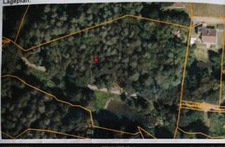 Haus kaufen in 94354 Haselbach, Haselbach - Häuschen im Wald am Weiher