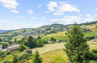 Wohnung kaufen in 79674 Todtnau, Urige Schwarzwald-Oase mit Ausblick und Kamin.