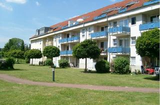 Wohnung mieten in Rodderweg 64, 50999 Sürth, Stilvolle, gepflegte 3-Zimmer-Erdgeschosswohnung mit Balkon in Sürth, Köln