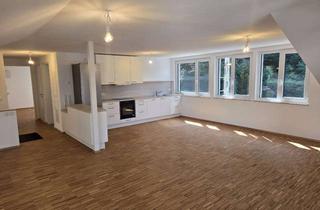 Wohnung mieten in 79183 Waldkirch, Sehr helle und offene klimatisierte Dachgeschosswohnung mit offener Wohnküche