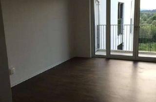 Wohnung mieten in 35398 Gießen, Moderne teilmöbilierte 1 Zimmer Wohnung Zentral in Gießen