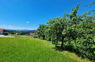 Grundstück zu kaufen in 94481 Grafenau, Traumgrundstück in Grafenau/Elmberg!Sonnige Aussichtslage, kein Bauzwang erschlossen u. projektier
