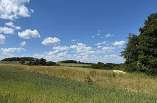 Grundstück zu kaufen in 53547 Breitscheid, Baugrundstück in ruhiger Ortslage mit unverbaubarem Ausblick