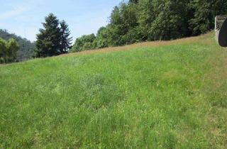 Grundstück zu kaufen in 66871 Thallichtenberg, Thallichtenberg schöner Bauplatz für EFH DH, MFH, mit Aussicht,2010qm