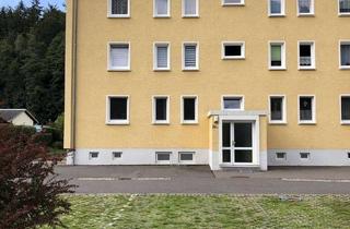 Wohnung mieten in 01768 Glashütte, Verfügbarkeit ab 01.09.2026 - Charmante, teilmöblierte 2-Zimmer-Wohnung mit Westbalkon