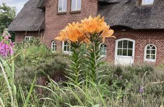 Haus kaufen in 25996 Wenningstedt-Braderup, DHH unter Reet