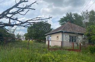 Haus kaufen in 85435 Erding, Erding - Haus in Backa Topola Serbien