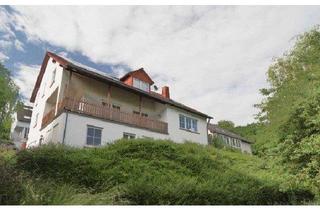 Haus kaufen in 54311 Trierweiler, Trierweiler - Trierweiler, hochw. Haus, großz. Hauptwohnung, 2 ELW, PV-Anlage