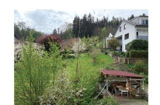Wohnung mieten in Ritter-Von-Eppo-Straße 36 R, 89438 Holzheim, Gepflegte 1-Raum-DG-Wohnung mit Balkon und Einbauküche in Holzheim