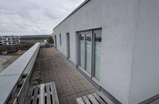 Penthouse mieten in Geschwister-Scholl-Straße, 71088 Holzgerlingen, Lichtdurchflutete Penthouse-Wohnung
