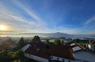 Wohnung mieten in Höhenweg, 87448 Waltenhofen, Neue 3-Zimmer-Wohnung mit Küche, Terasse, Garten, TG, Aufzug u. GästeWC mit den Bergen vor der Türe