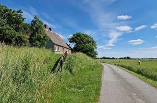 Haus kaufen in 25881 Westerhever, Kapitänsblick über die Marsch – seltene Hofstelle in Alleinlage in Westerhever