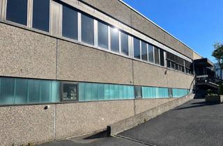 Anlageobjekt in 96242 Sonnefeld, Renditeobjekt - Lager-/ Produktionshalle mit modernisierter Bürofläche - gute Mieterstruktur - ca 10