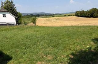 Grundstück zu kaufen in 90542 Eckental, Wunderschönes Grundstück in bester Lage von Eckental einmalige Gelegenheit