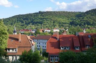 Wohnung mieten in 99706 Sondershausen, Schicke, ruhig gelegene 1,5 Zimmer Wohnung im Grünen – zentral und dennoch entspannt wohnen