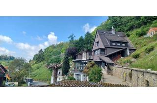 Haus kaufen in 37520 Osterode, Natur Panorama Haus