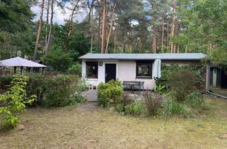 Grundstück zu kaufen in 15746 Groß Köris, Waldgrundstück mit Bungalow