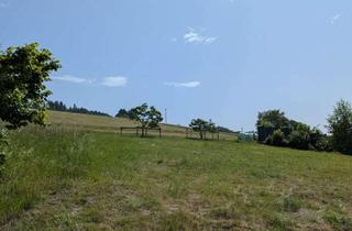 Grundstück zu kaufen in 79736 Rickenbach, Baugrundstück mit traumhafter Fernsicht – 776 m² in sonniger Hanglage