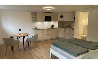 Immobilie mieten in 67098 Bad Dürkheim, Möbliertes 1-Zimmer-Apartment in Bad Dürkheim Grethen
