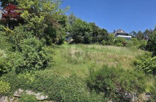 Grundstück zu kaufen in 78136 Schonach, SONNE, AUSSICHT UND KURZE WEGE
