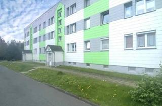Wohnung kaufen in 07349 Lehesten, Lehesten - Attraktive 4 Zimmerwohnung in naturnaher Lage