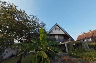 Einfamilienhaus kaufen in 79350 Sexau, Sexau - Großes Einfamilienhaus | 230 m² | Einliegerwohnung | Doppelgarage