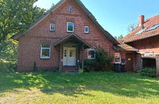 Haus kaufen in 31604 Raddestorf, Raddestorf - Schöner Resthof