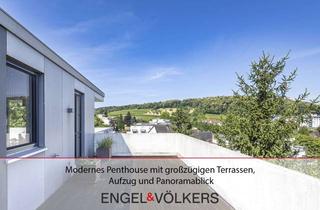 Penthouse kaufen in 76887 Bad Bergzabern, Modernes Penthouse mit großzügigen Terrassen, Aufzug und Panoramablick