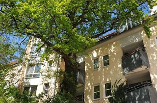 Wohnung mieten in Sophienstraße 42, 15230 Frankfurt, Ruhige 1,5-Zi WHG in grüner Zentrumslage (mit Aufzug + EBK)