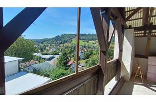 Wohnung mieten in 95485 Warmensteinach, Idyllisches Dachgeschoss mit riesiger Terrasse & Bergblick – sofort einziehen in Warmensteinach
