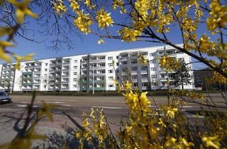 Wohnung mieten in Askanische Straße 72, 06842 Innenstadt, Wohnung mit Aufzug und Balkon