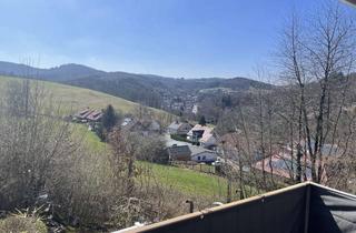 Wohnung mieten in 69483 Wald-Michelbach, Provisionsfrei! Wunderschön gelegene 3-Zimmer-Wohnung, Balkon mit toller Aussicht in Wald-Michelbach