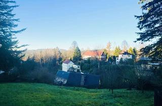 Wohnung mieten in 01814 Bad Schandau, Wunderschöne Wohnung mit Balkon und Gartenanteil!