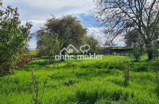 Grundstück zu kaufen in Pobziger Hauptstraße 25, 06429 Nienburg, Baugrundstück(e) Naturidylle EFH DHH Tiny House Bauturbo