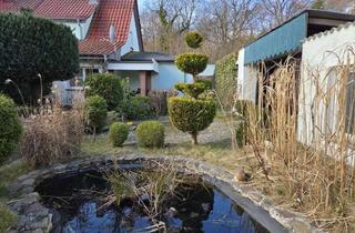 Haus kaufen in 17438 Buddenhagen, DHH - Haus auf super Grundstück - inkl. Ferienbungalow - ruhige und beliebte Lage