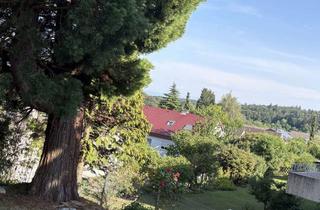 Haus mieten in 78465 Konstanz, Schönes Einfamilienhaus mit Seesicht und großem Garten
