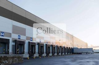 Gewerbeimmobilie mieten in 33175 Bad Lippspringe, Logistik und Gewerbe Neubau 2025 | 24/7 | WGK 3