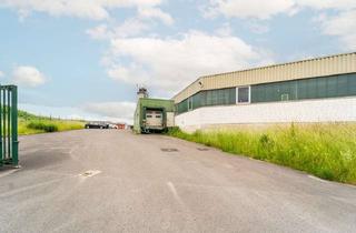 Büro zu mieten in 48624 Schöppingen, Schöppingen || 1.312 m² Hallenfläche mit Bürotrakt || Laderampe || ab sofort